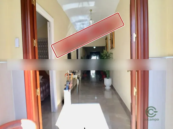 Spot image