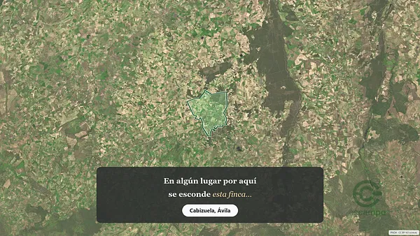 Spot image