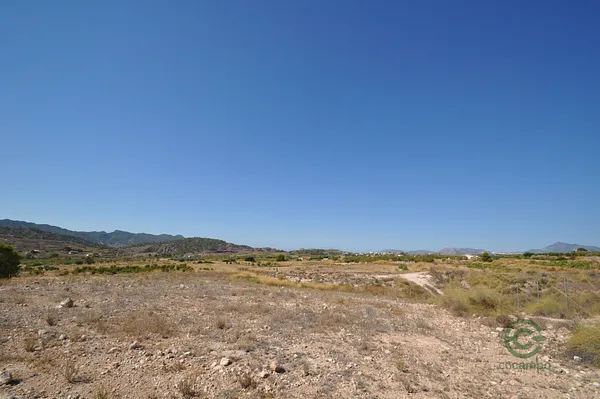 Spot image