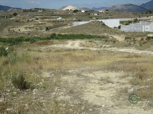 Spot image