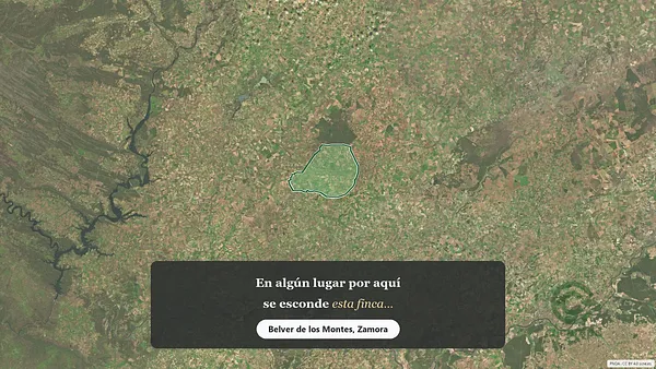Spot image