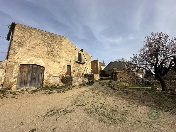 Spot image