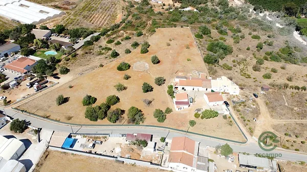 Spot image
