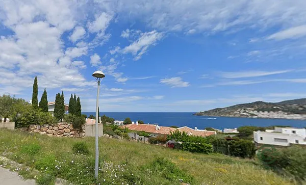 Spot image