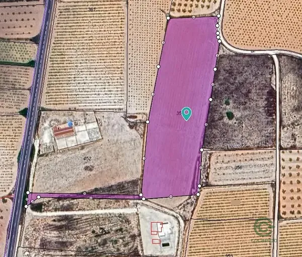 Spot image