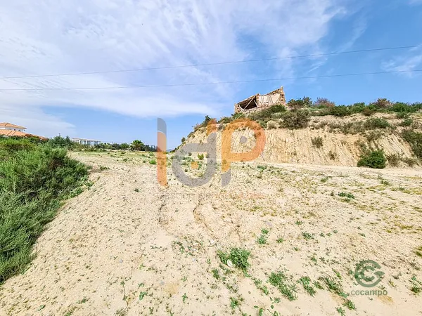 Spot image
