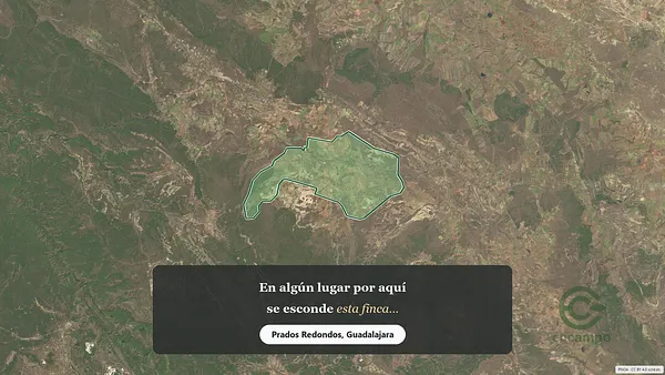 Spot image