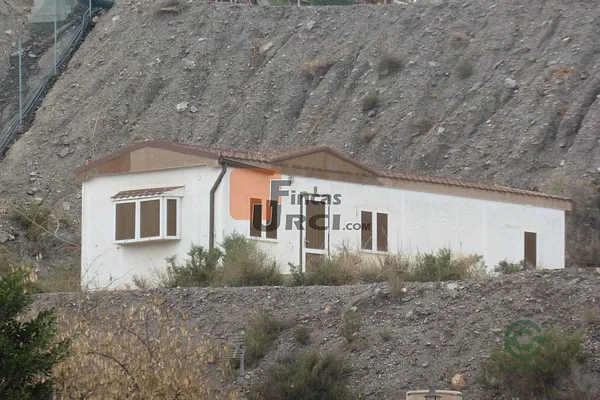 Spot image