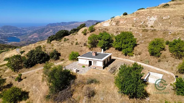 Spot image