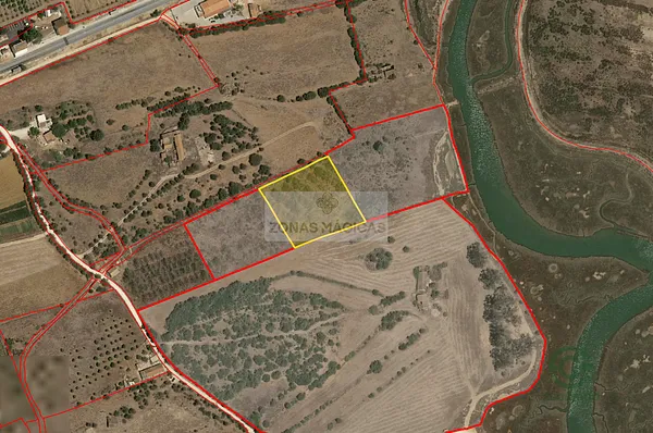 Spot image