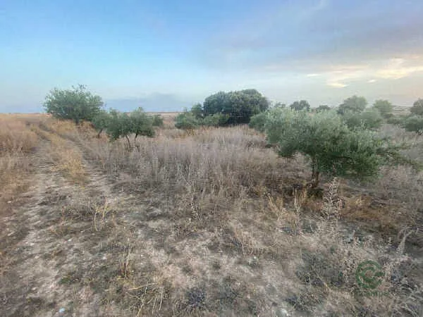 Finca rústica de 0,36 ha en venta en Driebes, Guadalajara