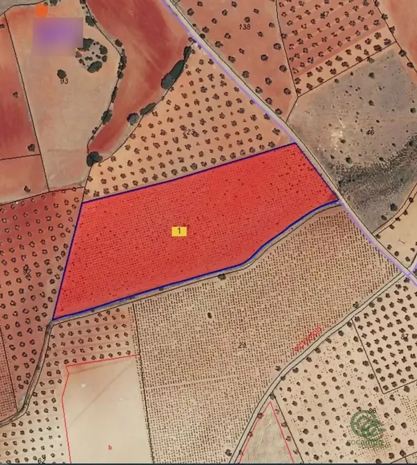 Spot image