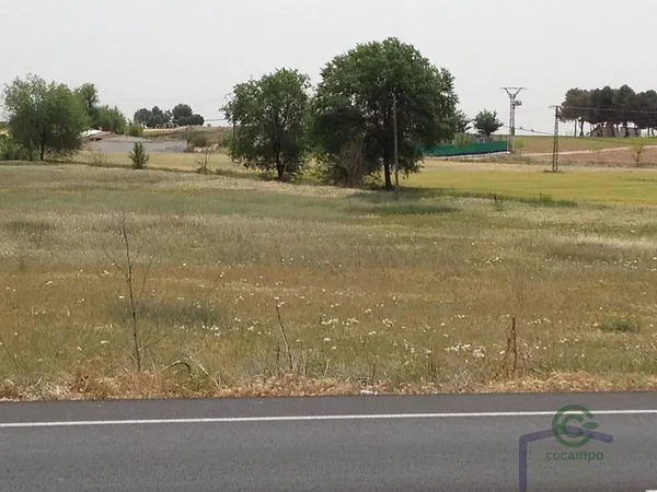 Finca agrícola de 2,2261 ha en venta en Manzanares, Ciudad real