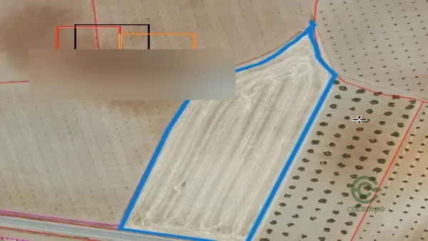 Spot image