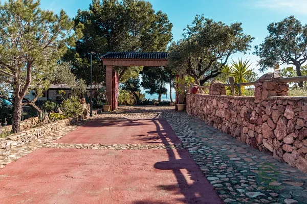 Spot image