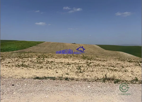 Spot image