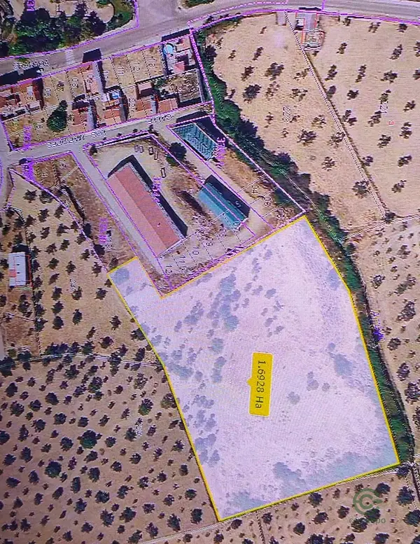 Spot image