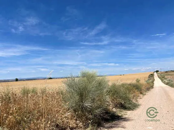 Finca rústica de 3,0831 ha en venta en Chiloeches, Guadalajara