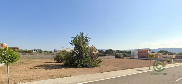 Spot image