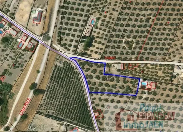 Spot image