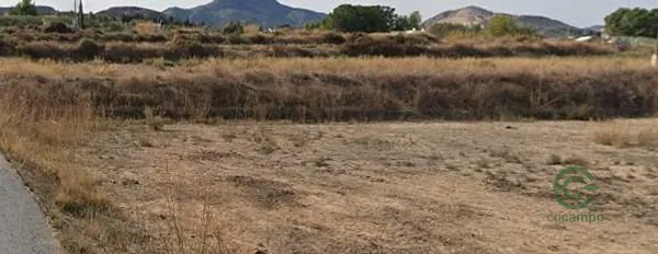 Spot image
