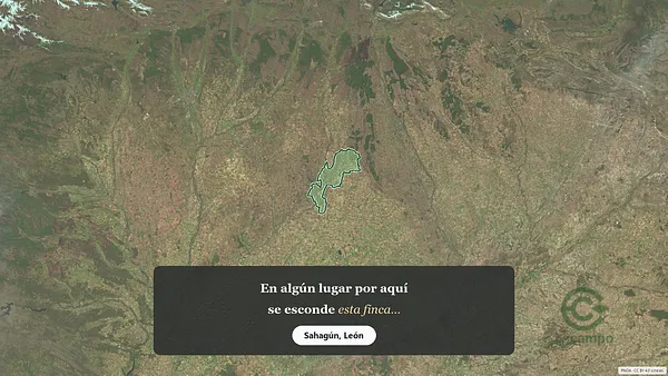 Spot image