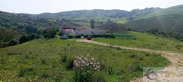 Spot image
