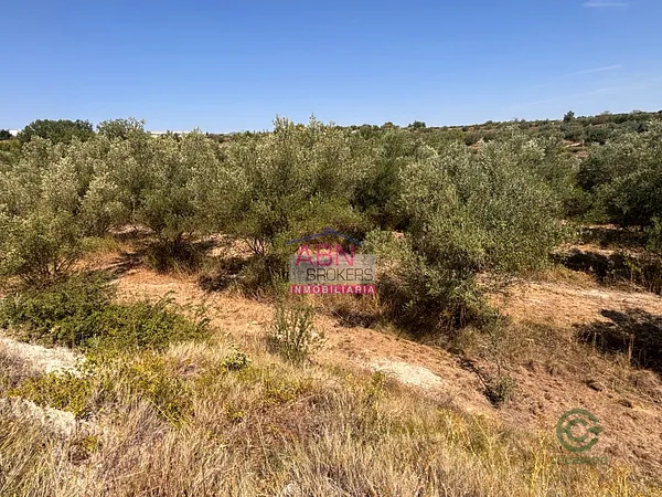 Spot image