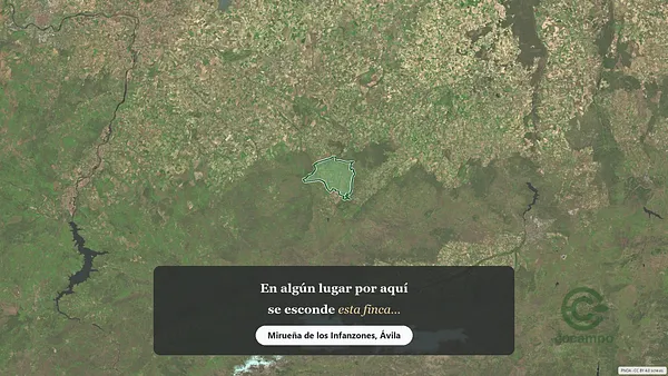 Spot image