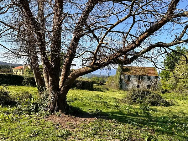 Finca rústica de 1,2 ha en venta en Vedra, La coruna
