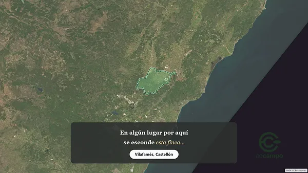 Spot image