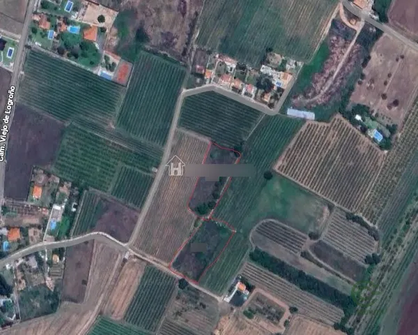 Spot image
