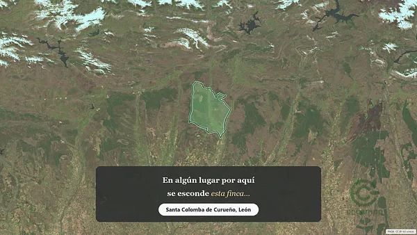 Spot image