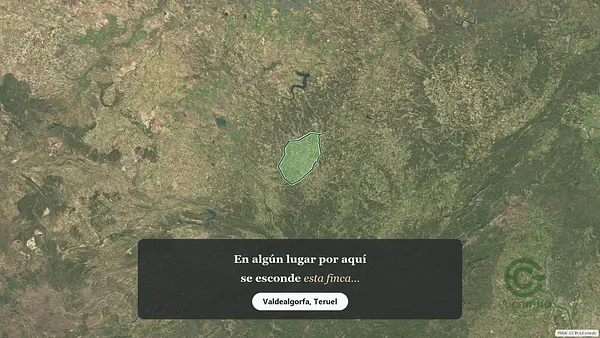 Spot image