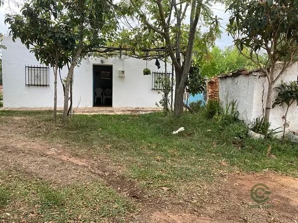 Spot image