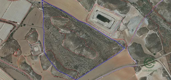 Spot image