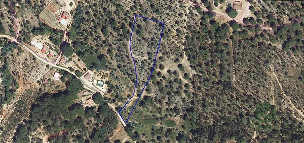 Spot image