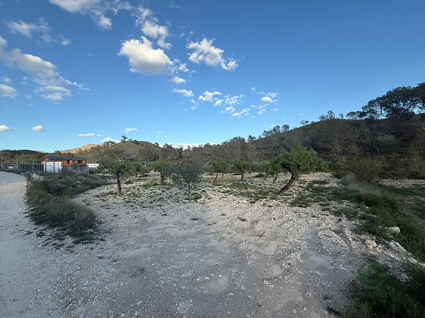 Spot image