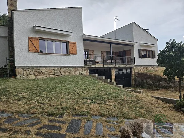 Spot image