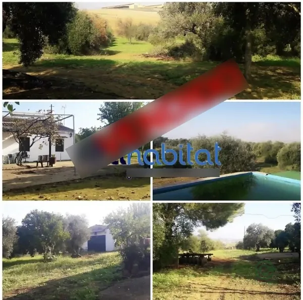 Spot image