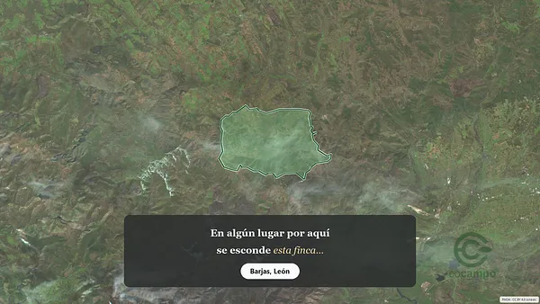 Spot image