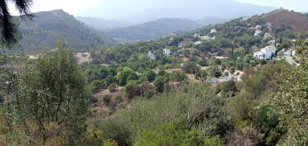Spot image