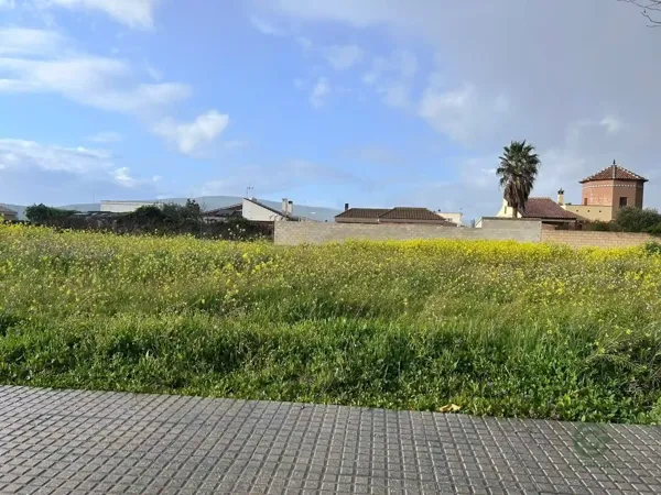 Spot image