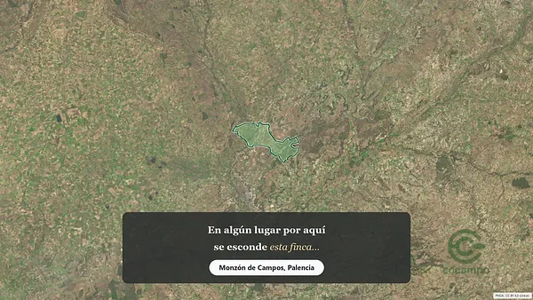Spot image