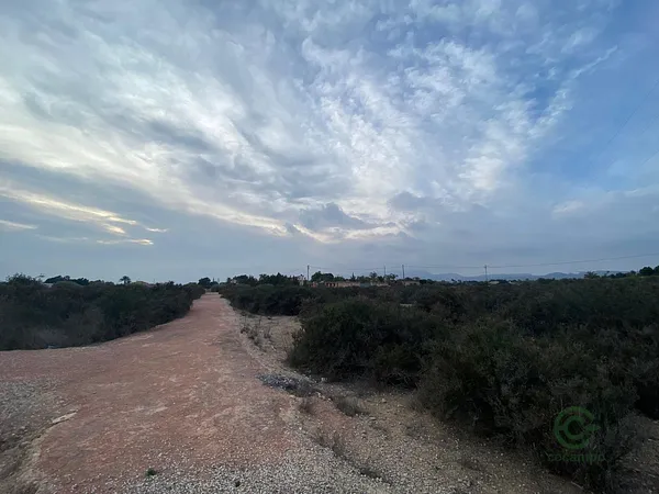 Spot image