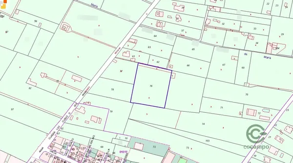 Spot image