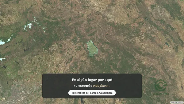 Spot image