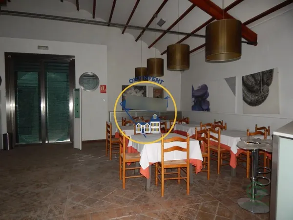 Spot image