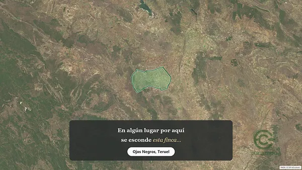 Spot image
