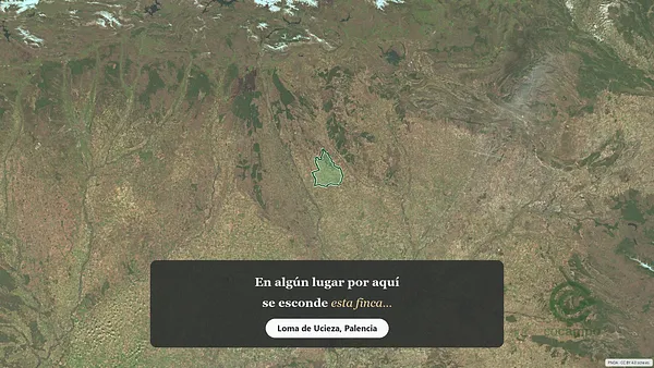 Spot image